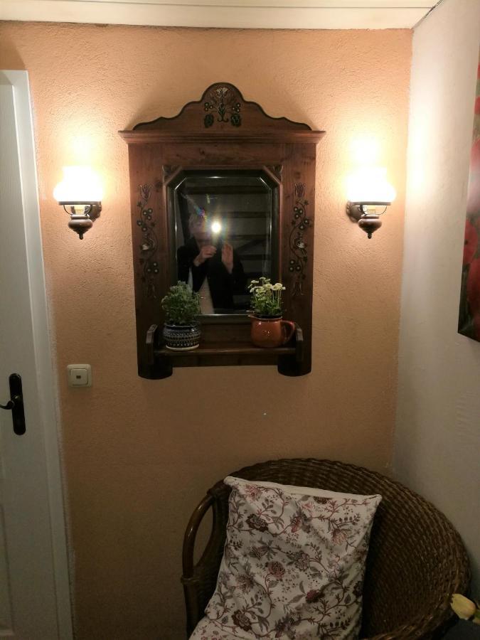 Elbhangzimmer Dresden Bagian luar foto