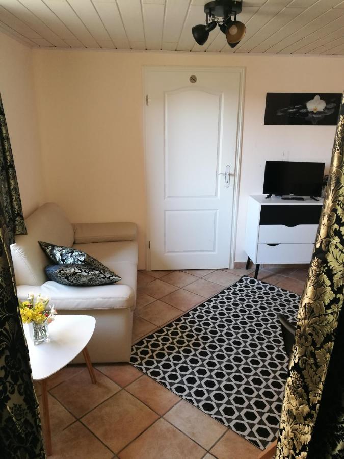 Elbhangzimmer Dresden Bagian luar foto